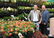 Rob Hendrickx en Ad van Heesbeen van ASRA Plant. De mannen gaven extra aandacht aan hun Skimmia Pabella Sense.